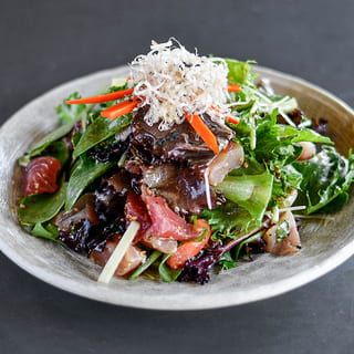 Sashimi Salad